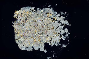 Cross Polarized, S15985