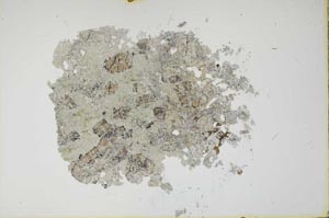 Plane Polarized, S15985