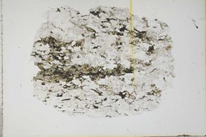 Plane Polarized, S15988