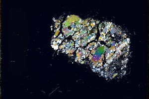 Cross Polarized, S16008