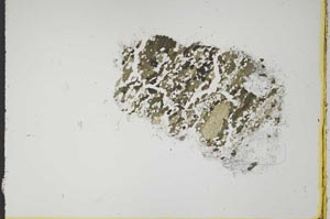 Plane Polarized, S16008