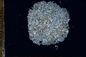 Cross Polarized, S16010