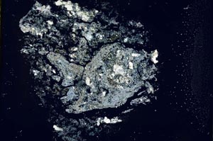 Cross Polarized, S16019