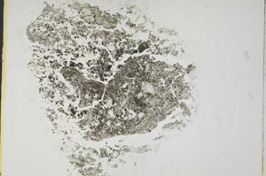 Plane Polarized, S16019