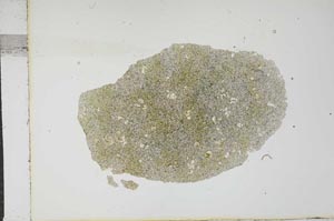Plane Polarized, S16039