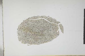 Plane Polarized, S16050