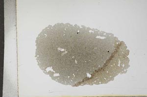 Plane Polarized, S16062
