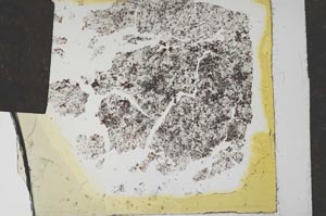 Plane Polarized, S16078