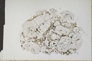 Plane Polarized, S16098