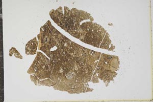 Plane Polarized, S16101
