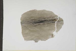 Plane Polarized, S16104