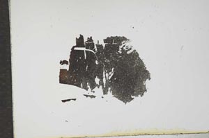 Plane Polarized, S16107