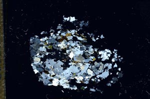 Cross Polarized, S16140