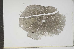 Plane Polarized, S16171