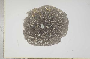 Plane Polarized, S16174