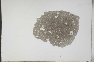 Plane Polarized, S16176