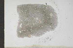 Plane Polarized, S16179