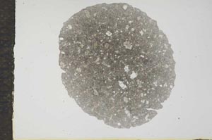 Plane Polarized, S16181
