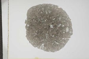 Plane Polarized, S16184