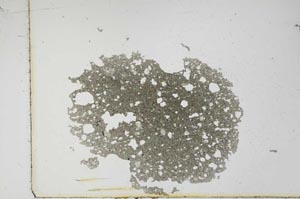 Plane Polarized, S16187/B