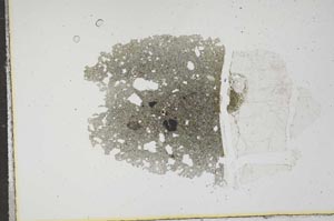 Plane Polarized, S16188