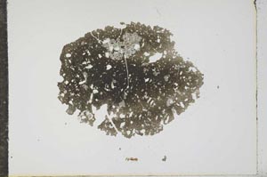 Plane Polarized, S16193