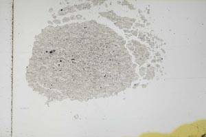 Plane Polarized, S16200