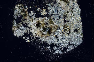 Cross Polarized, S16203