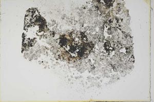 Plane Polarized, S16203