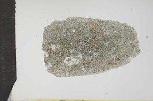 Plane Polarized, S16208