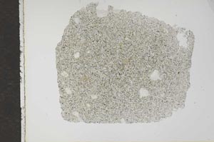 Plane Polarized, S16209