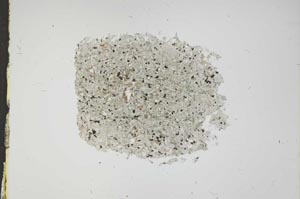 Plane Polarized, S16213