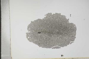 Plane Polarized, S16217