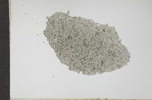 Plane Polarized, S16221