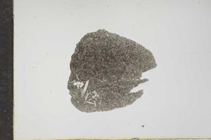 Plane Polarized, S16222