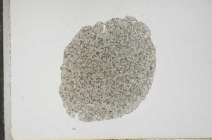 Plane Polarized, S16224