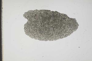 Plane Polarized, S16227