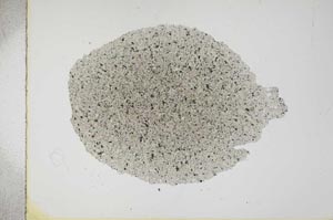 Plane Polarized, S16233
