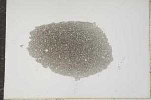 Plane Polarized, S16234