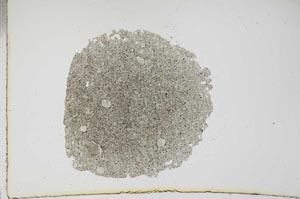 Plane Polarized, S16236
