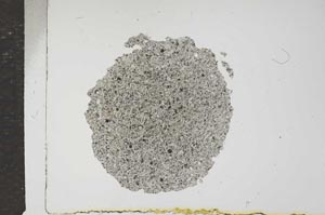 Plane Polarized, S16238