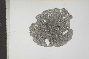 Plane Polarized, S16239