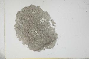 Plane Polarized, S16242