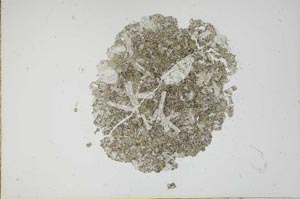 Plane Polarized, S16249