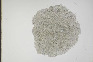 Plane Polarized, S16258