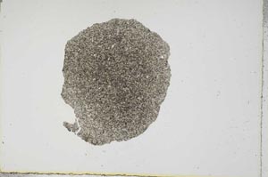 Plane Polarized, S16265