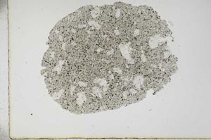 Plane Polarized, S16267