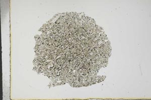 Plane Polarized, S16268