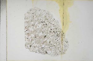 Plane Polarized, S16273