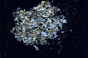 Cross Polarized, S16283